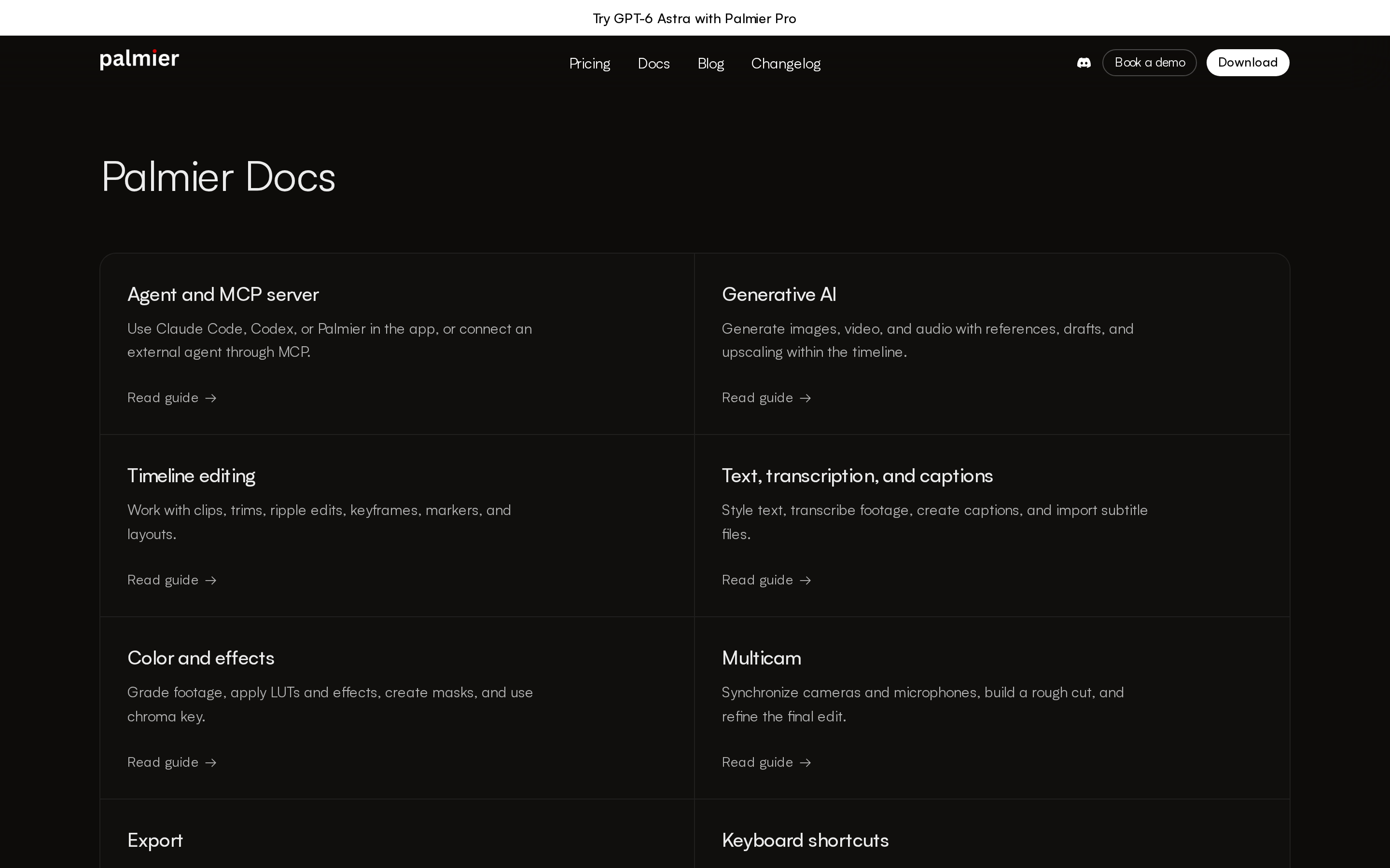 Palmier Pro — docs