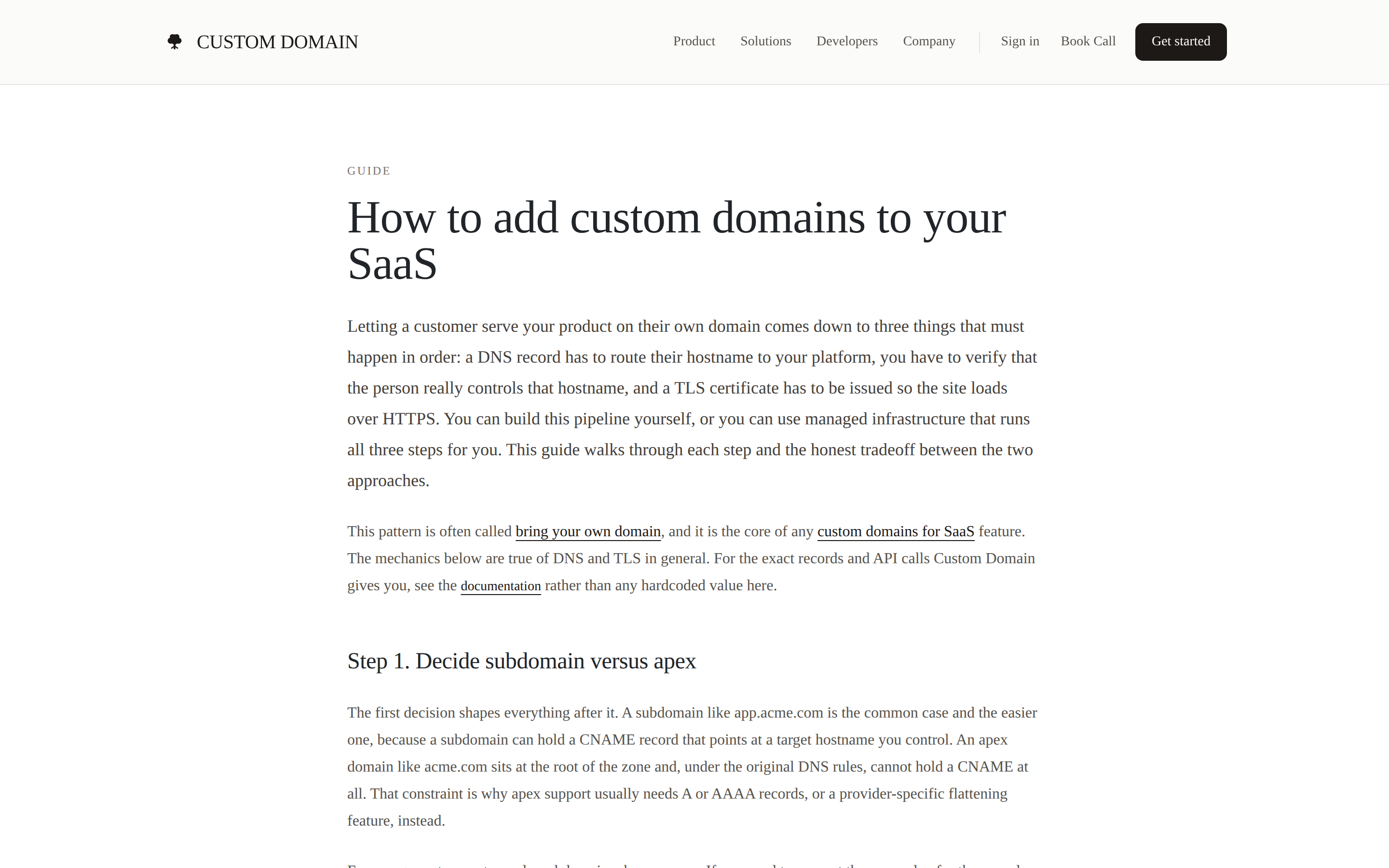 Custom Domain — docs